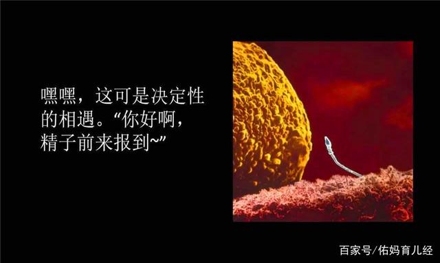 全新记录诞生，双方势均力敌的比赛中一方突破魔咒的简单介绍